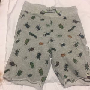 Boys bug sweat shorts. Size 7/8. Never worn.